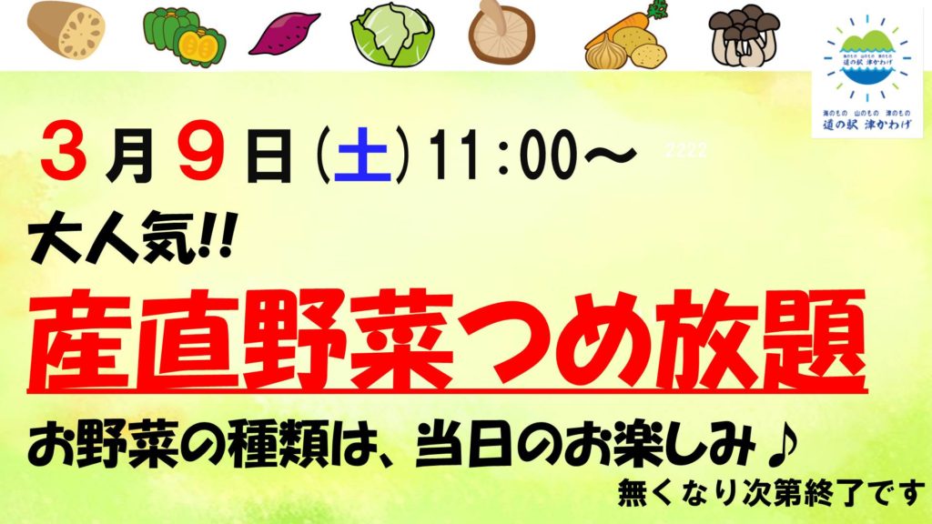 野菜つめ放題2019.3